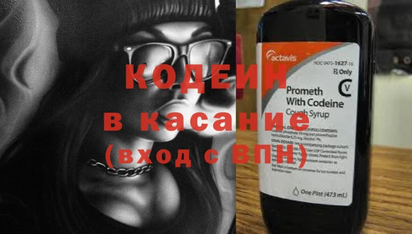 хмурый Алзамай