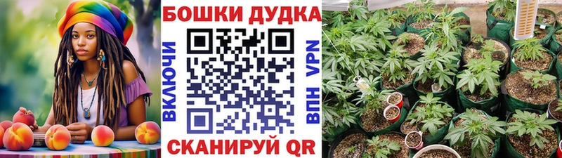 Конопля индика  Красноуфимск 